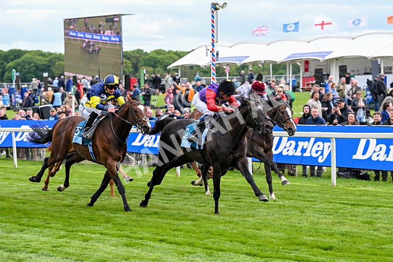 150526-Race 7-Portcullis-8742 - Race 7 5.15pm Darley EBF 'Confined' Novice Stakes