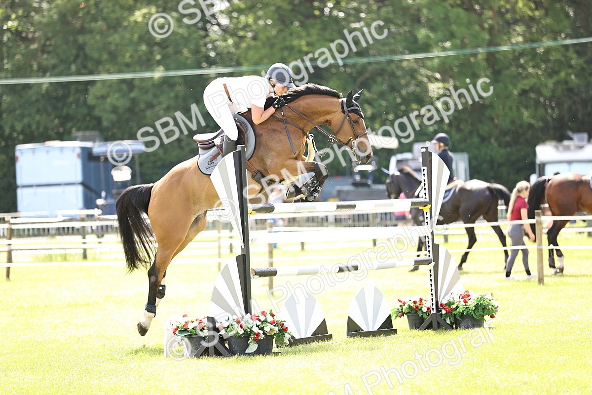 SBM_03957 - Class 201 - British Horse Feedds Speedi Beet HOYS Grade C