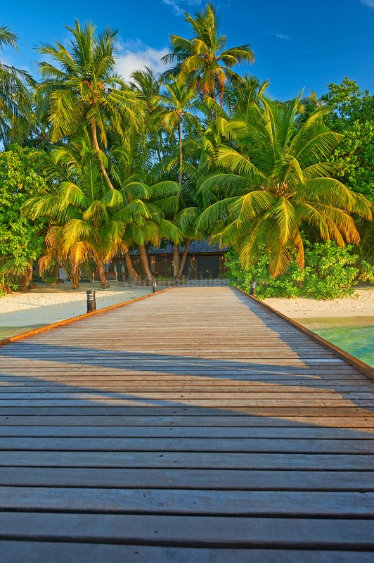 0124_54 - Maldives