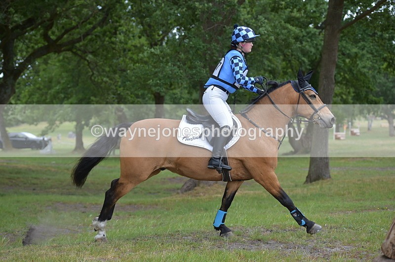 NGP_7954 - Time 11:39 to 11:48