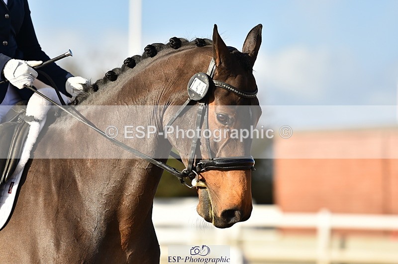 231104A-133556-01855 - Cls 10 Medium 61