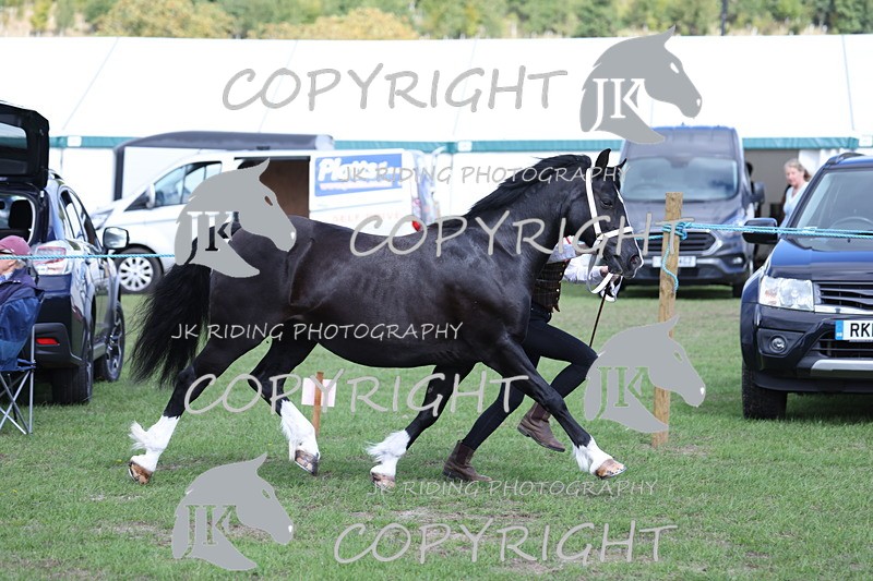 APP_2798 - Class 10a/b M&M in hand