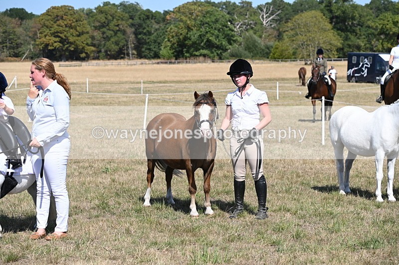WJ6_9528 - Class 40 Cheekiest Pony/Horse