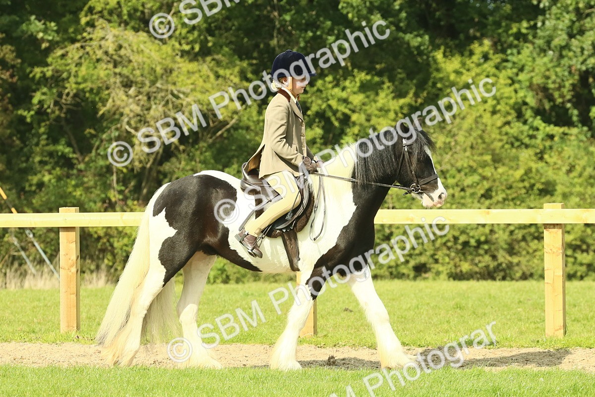 SBM_67393 - S56 - Coloured Pony Ridden