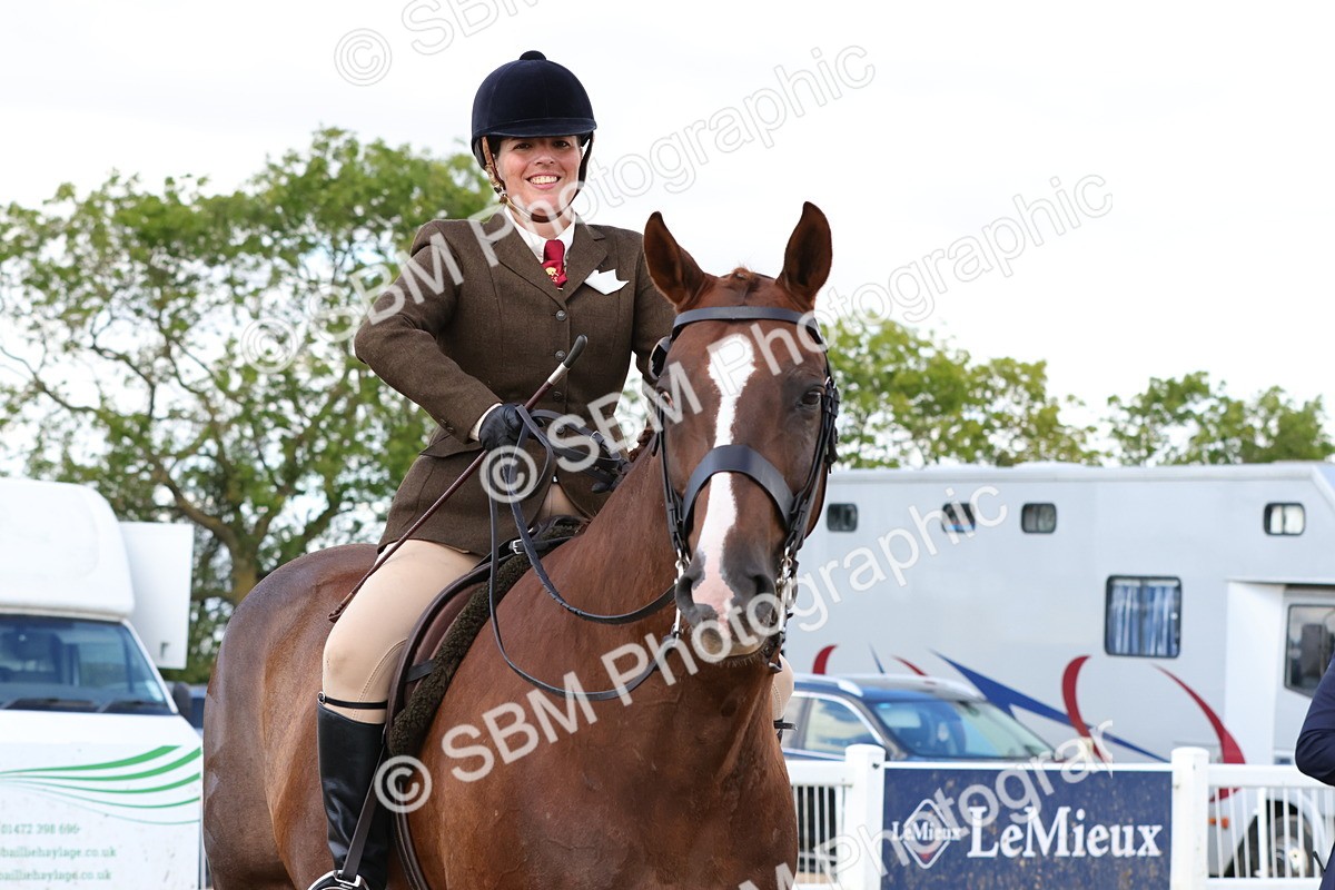SBM_13535 - Class 212 - Ridden Hunter  - Large