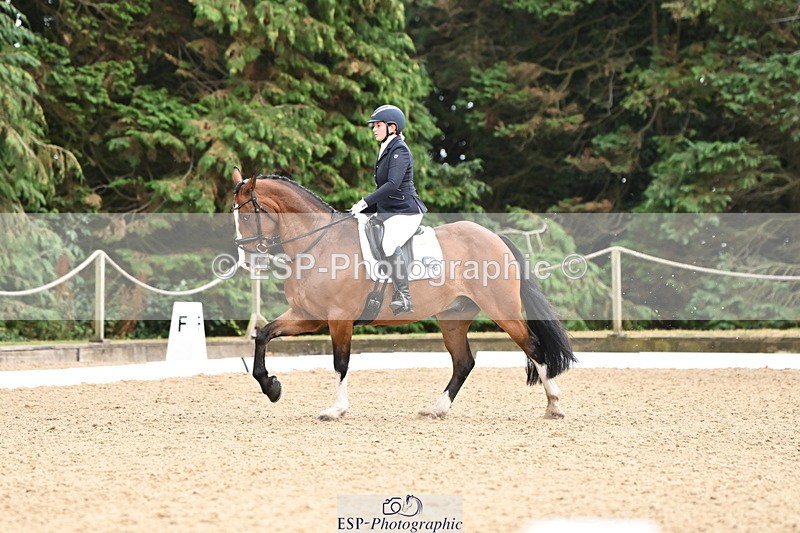 250808A-111353-00418 - 092-Bella.Balian-Beechwood.Joey