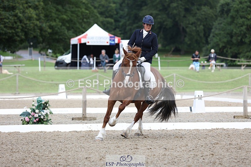 230813-095037-06161 - Cls 11 Elem Bronze Start to 10.50 break