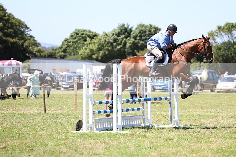 3E7A5556 - Class 9: Senior British Novice/90cm open