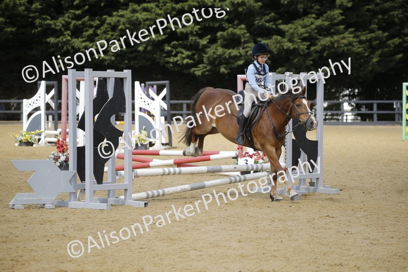 20250622-3835 - 50cm