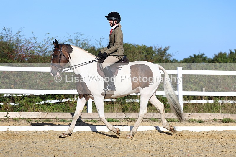 3E7A5262 - Class 8: Small Ridden Hunter