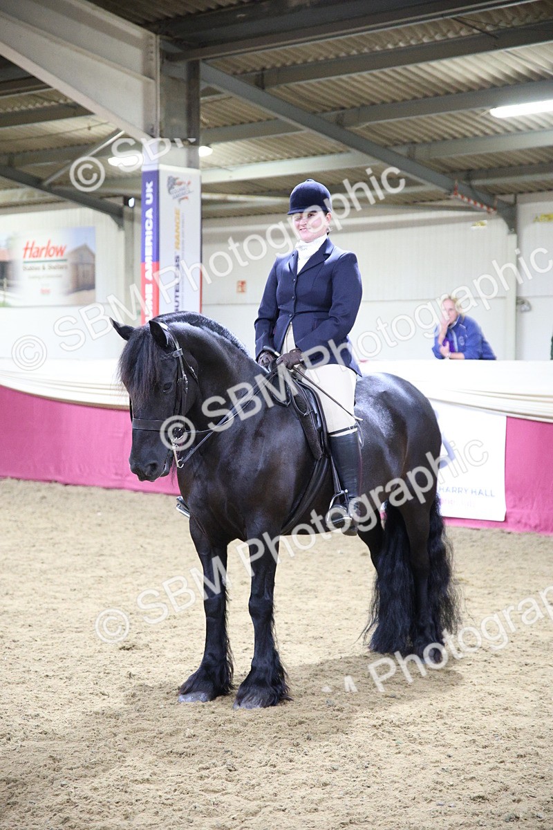 5K7A1496 - Class K Equitation Champ