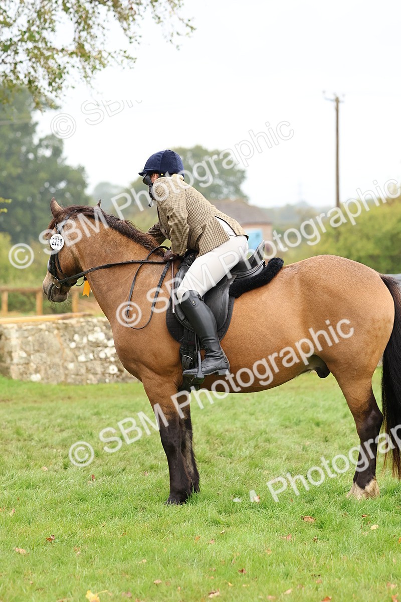 SBM_69761 - S62 - Mountain & Moorland Ridden Large Breeds
