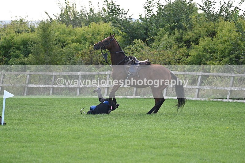 WJ7_0943 - Time 13:30 to 13:54