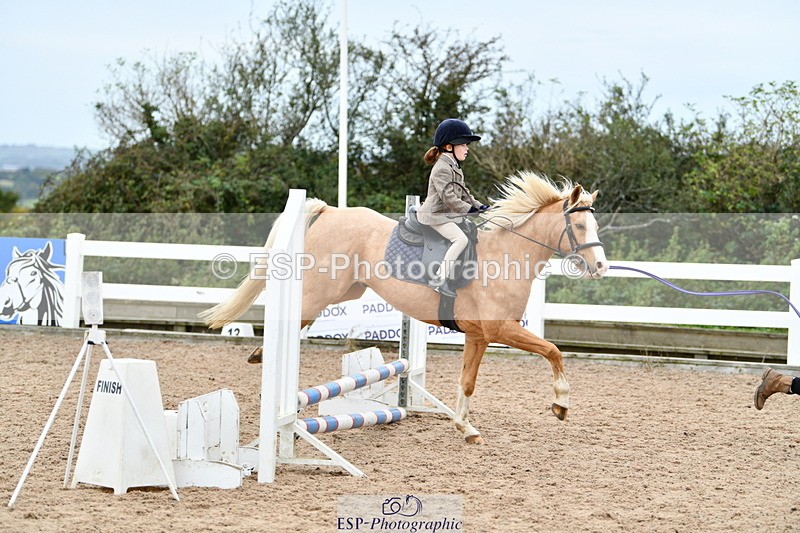 241013B-104738-00462 - Cls 2c 40cm Lead Rein