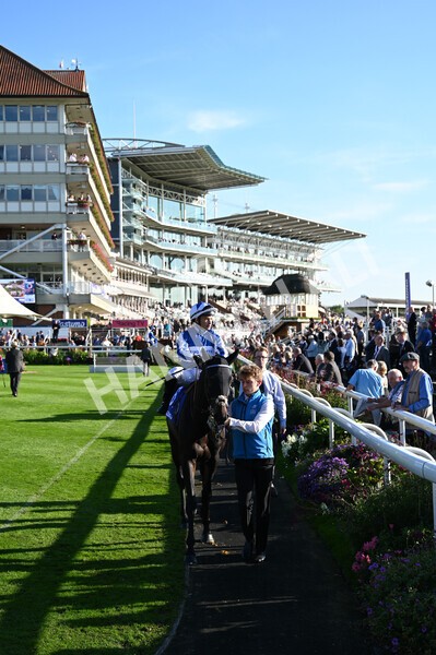 yr08102021r4-3 - Race 4 3.50pm Casumo Dare To be Different Handicap