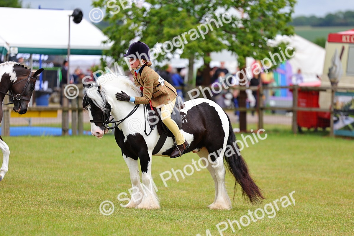 SBM_02659 - Class 9-11 Side Saddle including LIHS Rising Star Ladies Show Horse