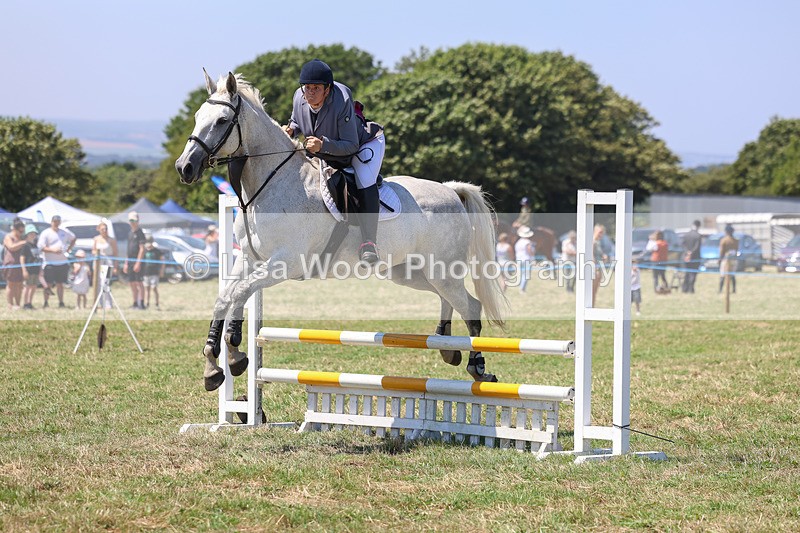 3E7A4357 - Class 10: Senior British Novice/90cm open