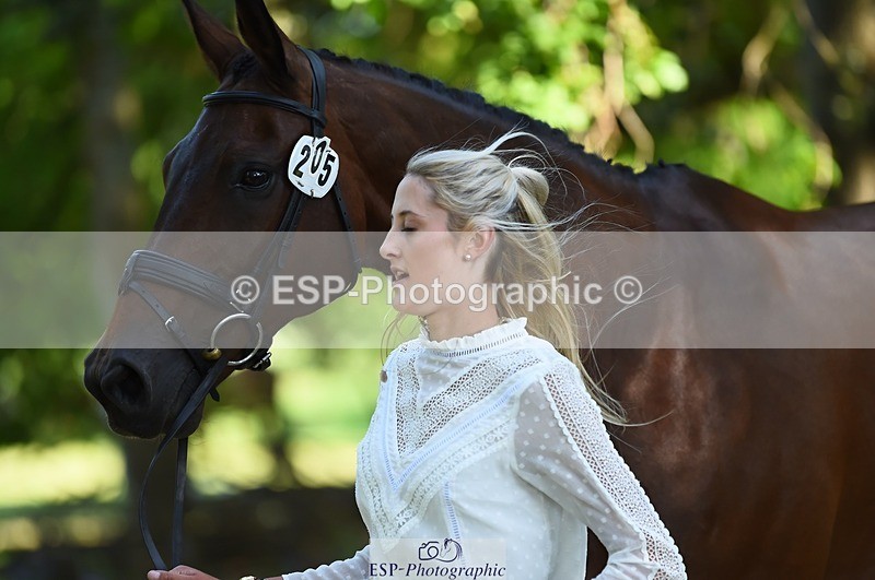 230524-155756-00587 - 205-ARTICUS-Maja_Hullah-WEDTrotUp+DR