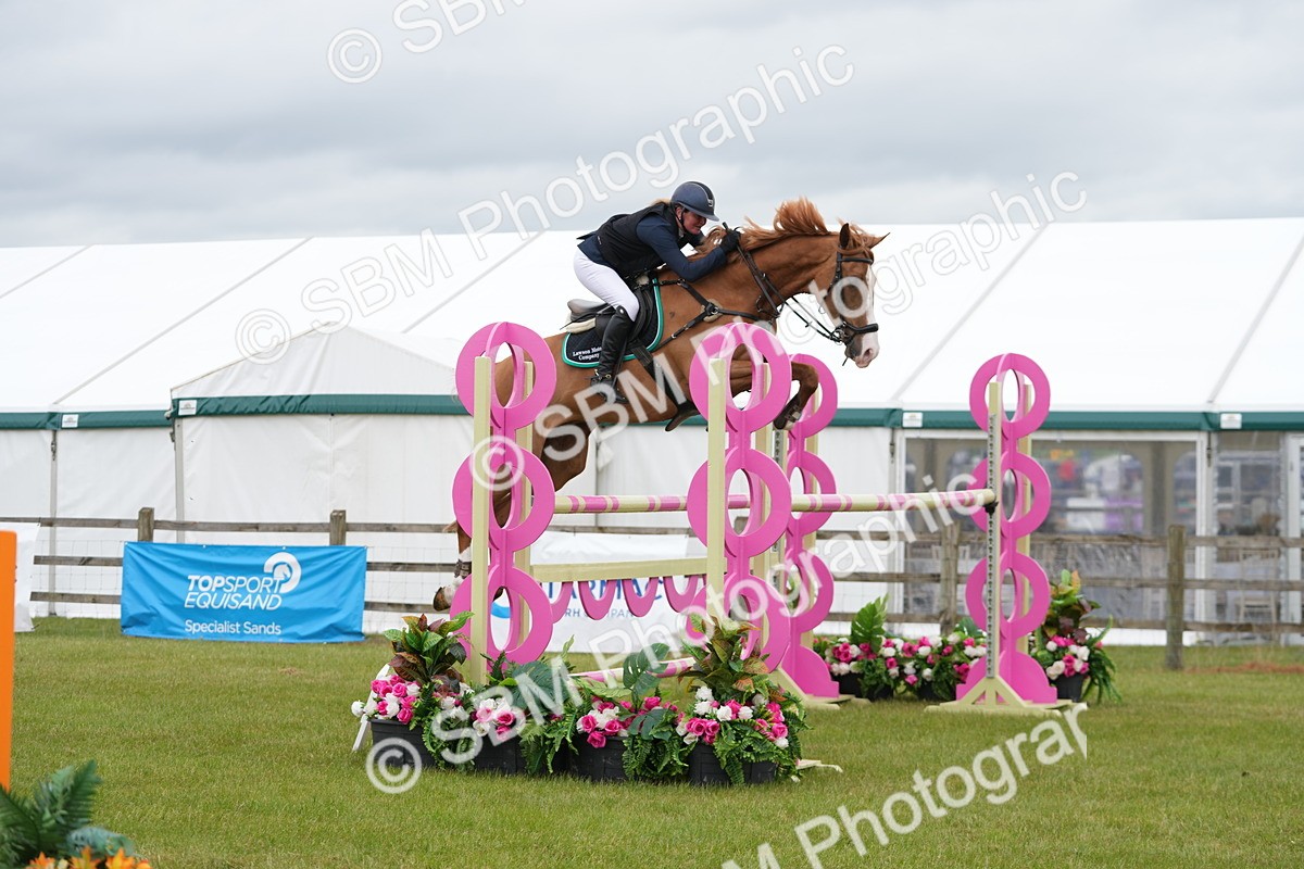 SBM_03300 - Class 201 - British Horse Feeds Speedi Beet Horse of the Year Show Grade  C