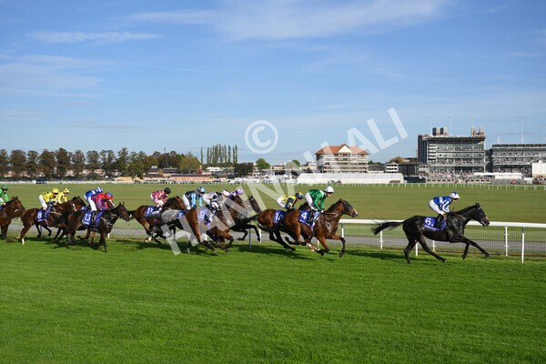 yr08102021r4-24 - Race 4 3.50pm Casumo Dare To be Different Handicap