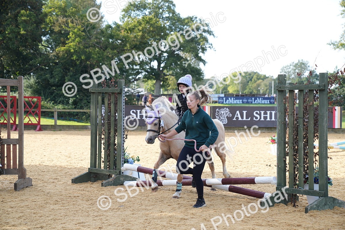SBM_61348 - J1 - Mini Tour Junior Pony Lead Rein 30cm Championship