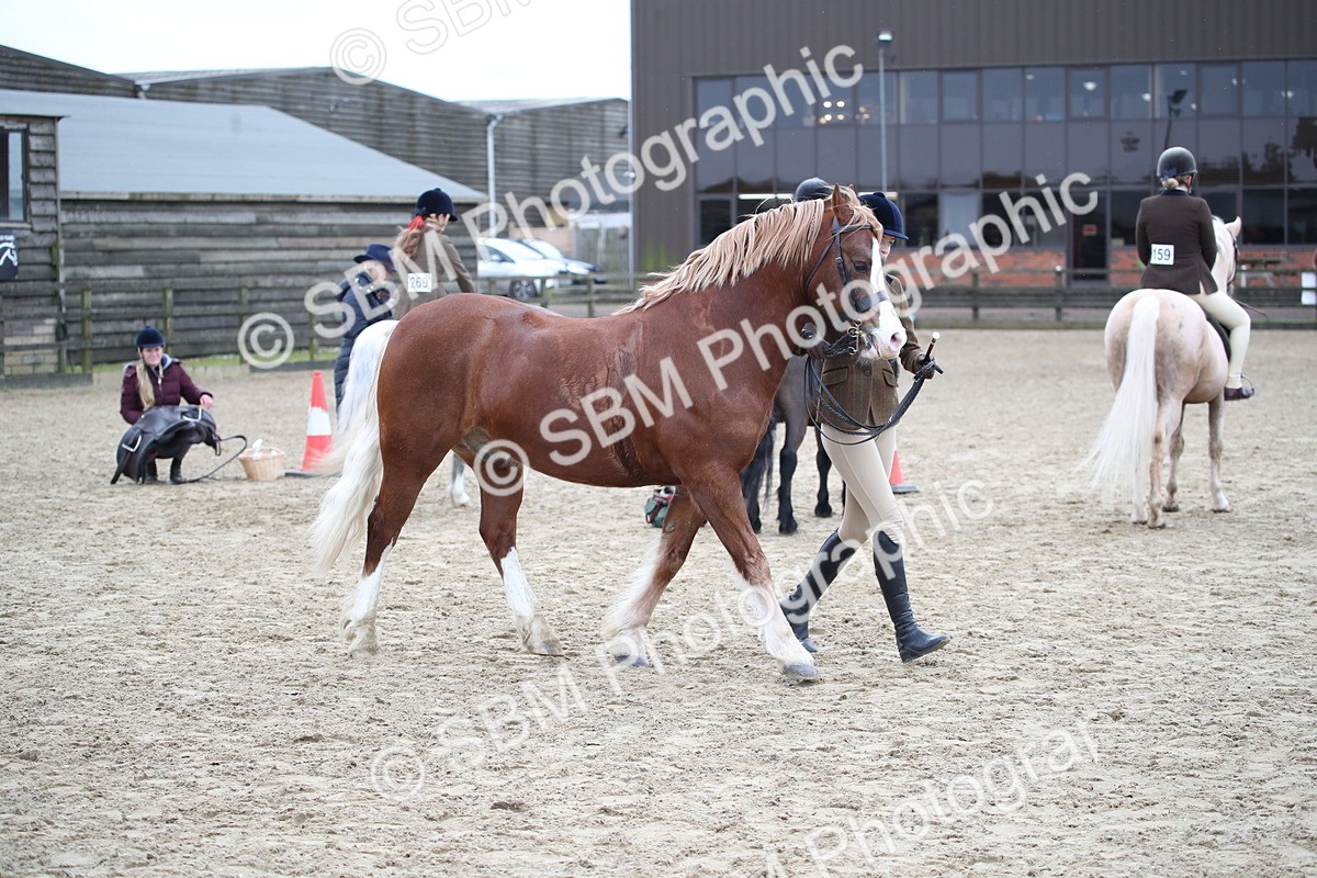 SBM_006423 - Class 10-13 - RIHS Small Large Breeds