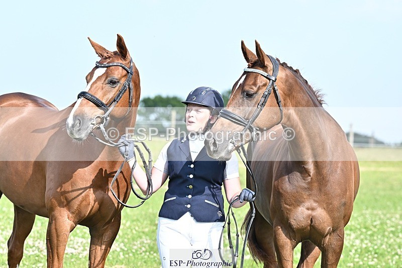 250620-175420-04910 - Verity