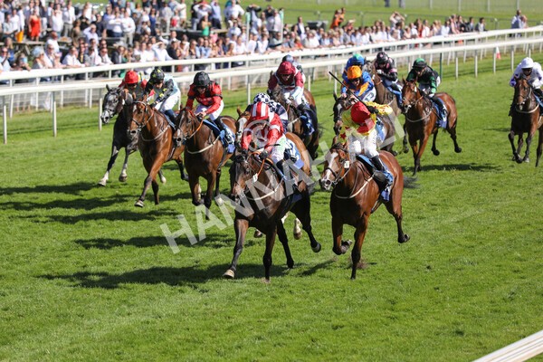  - Race 6 4.50pm The Ice Co supporting Macmillan Stakes