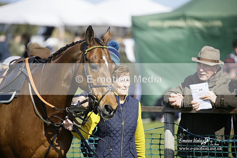 PtP 190322 341 - Wilton Hunt PtP Milborne St Andrew 19/03/22