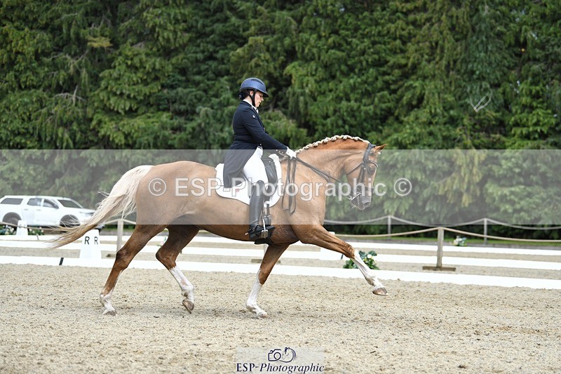 230812-144040-04767 - Cls 7 FEI PSG Bronze