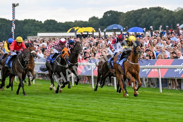 260725-Race 4-Air Force One-0618 - Race 4 3.20pm Sky Bet 'Jump Jockeys' Nunthorpe' Handicap