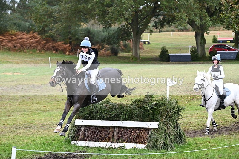 WJ6_3085 - 80cm Cam 1 Pairs Time 12:19 to 12:49