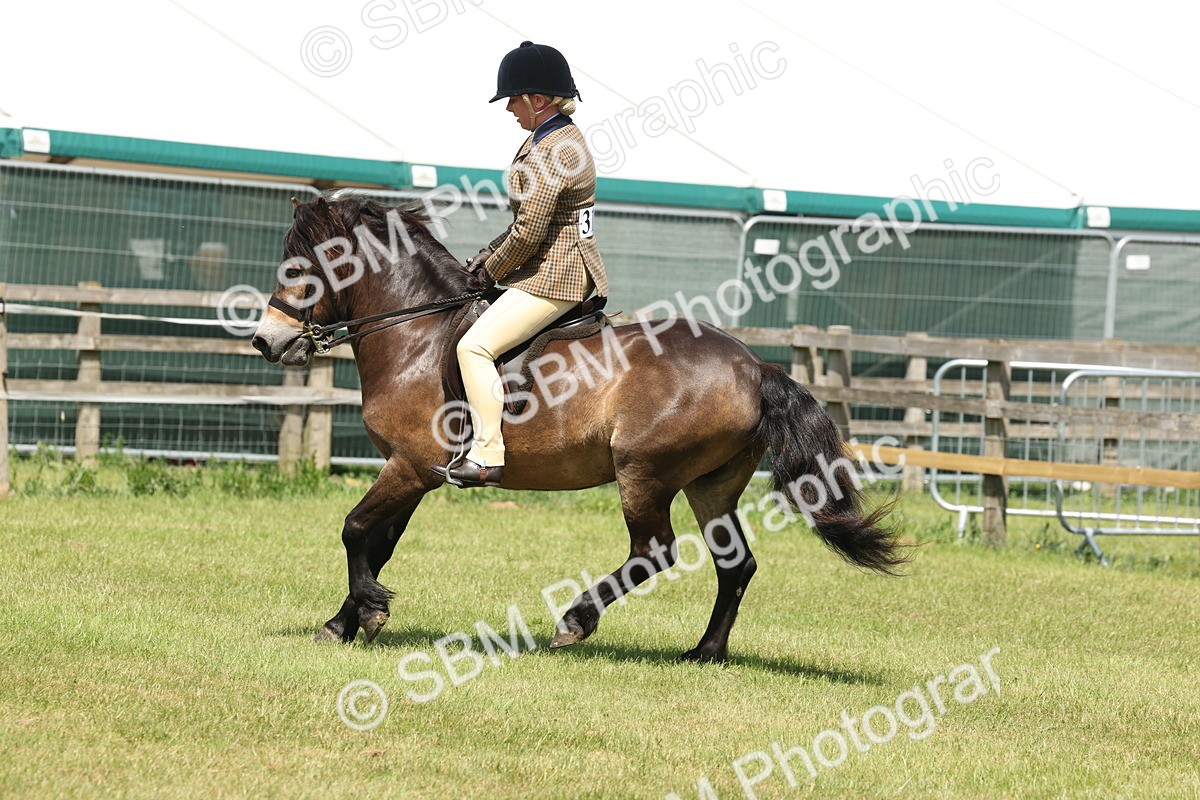 SBM_06841 - Class 26-30 - Mountain and Moorland Ridden