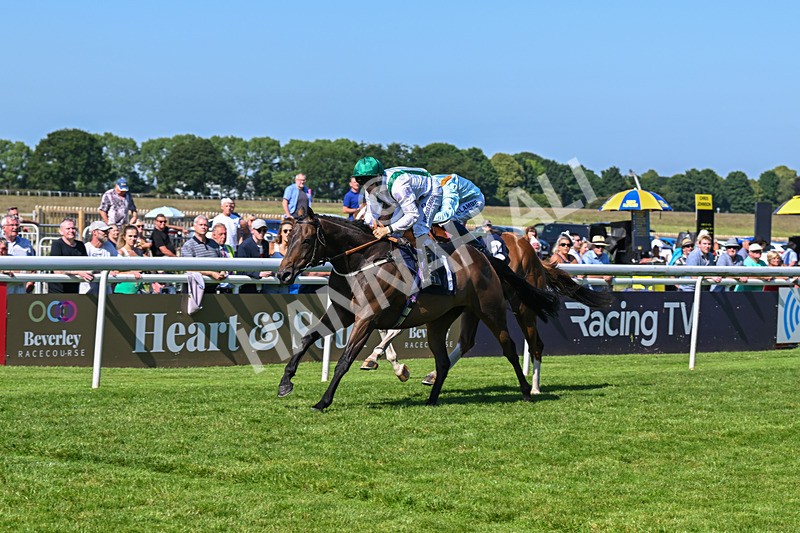 250624-Race 6-Cockalorum-5992 - Race 6