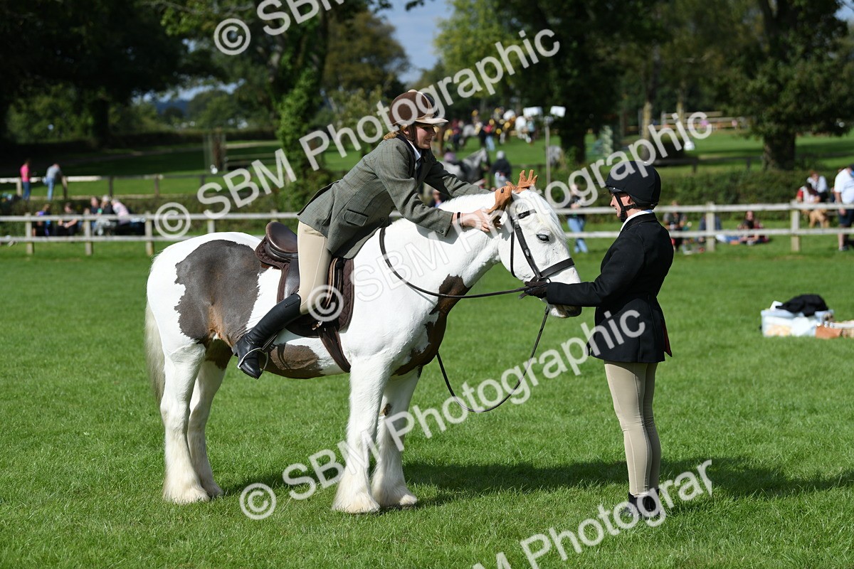 SBM_47024 - S12 - Family Horse & Pony
