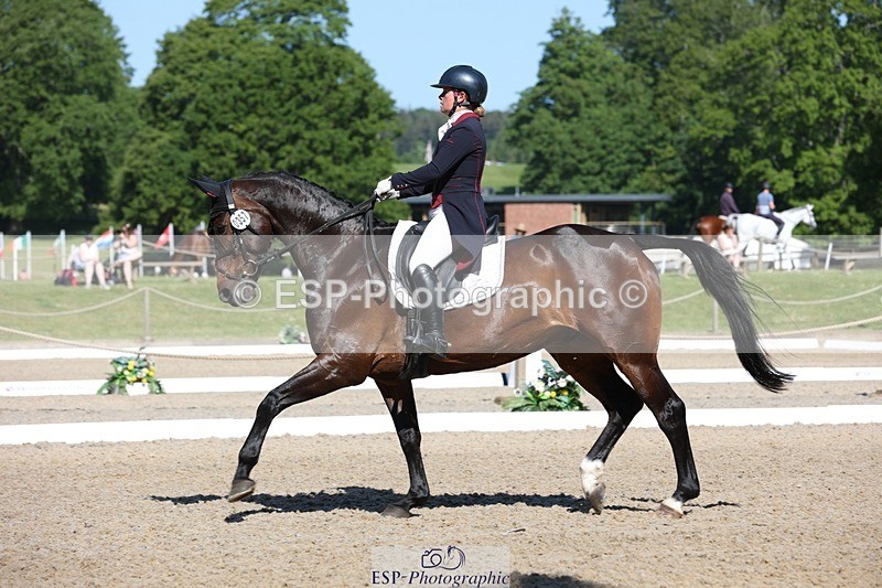 230526-094130-05137 - 357-VIVENDI_HERO-Saffron_Cresswell-WEDTrotUp+DR