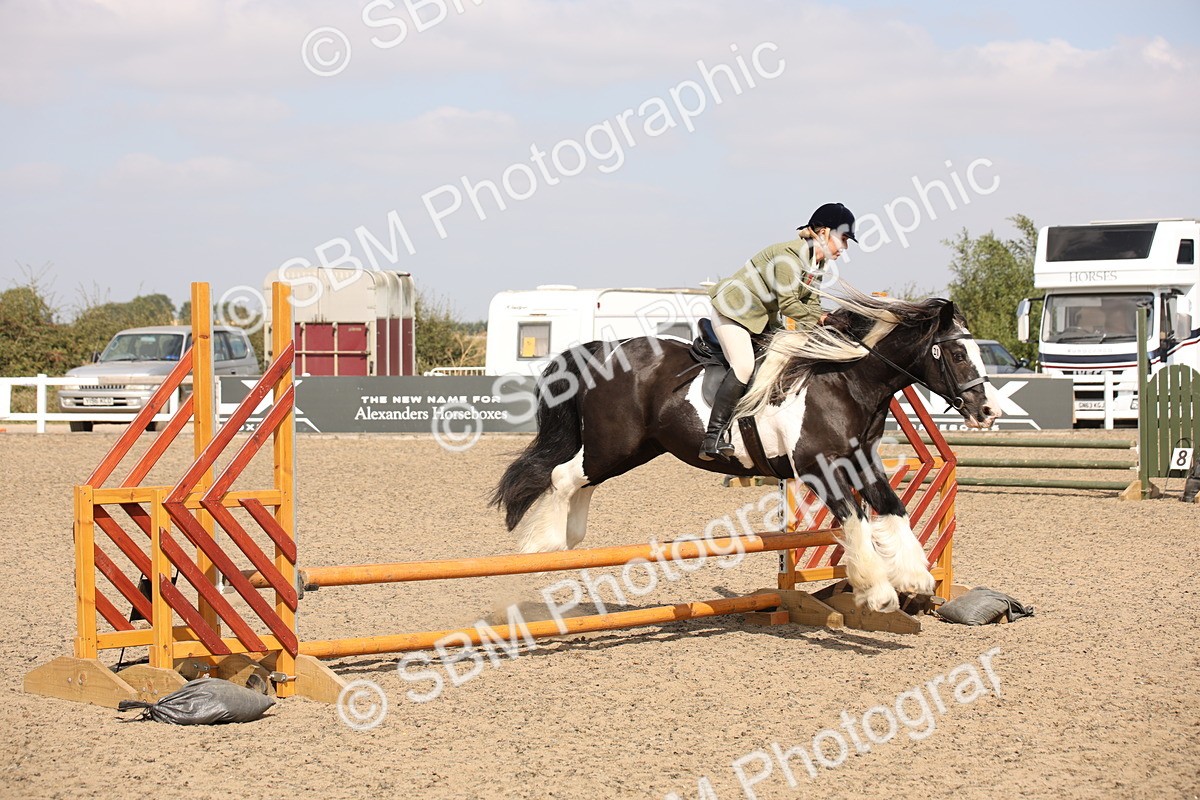 SBM_14337 - Class 407b - Working Veteran 60cm (20+)