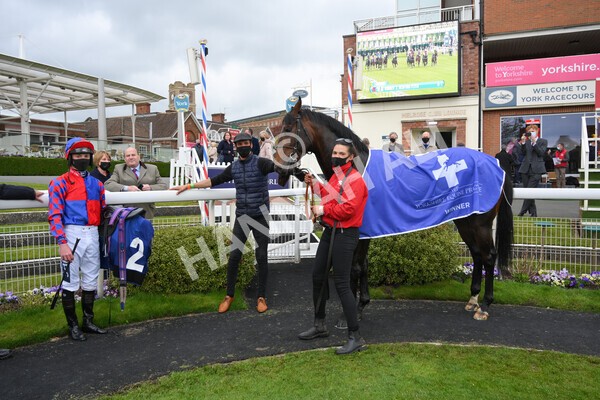 yr14052021r6-33 - Race 6 4.15pm Yorkshire Equine Practice Stakes