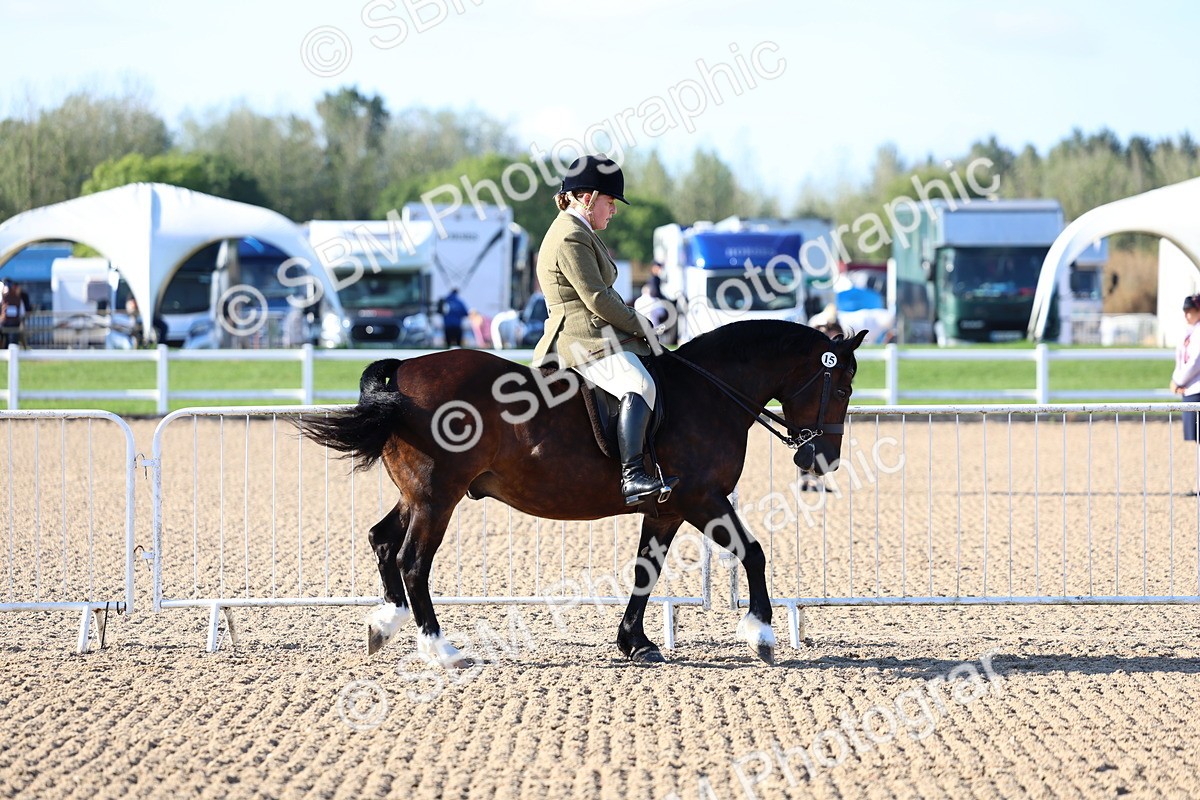 SBM_08718 - Class 302 - Ridden M&M - Large Breeds