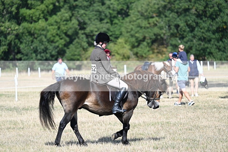 WJ7_2896 - Class 8 Ridden Tack & Turnout