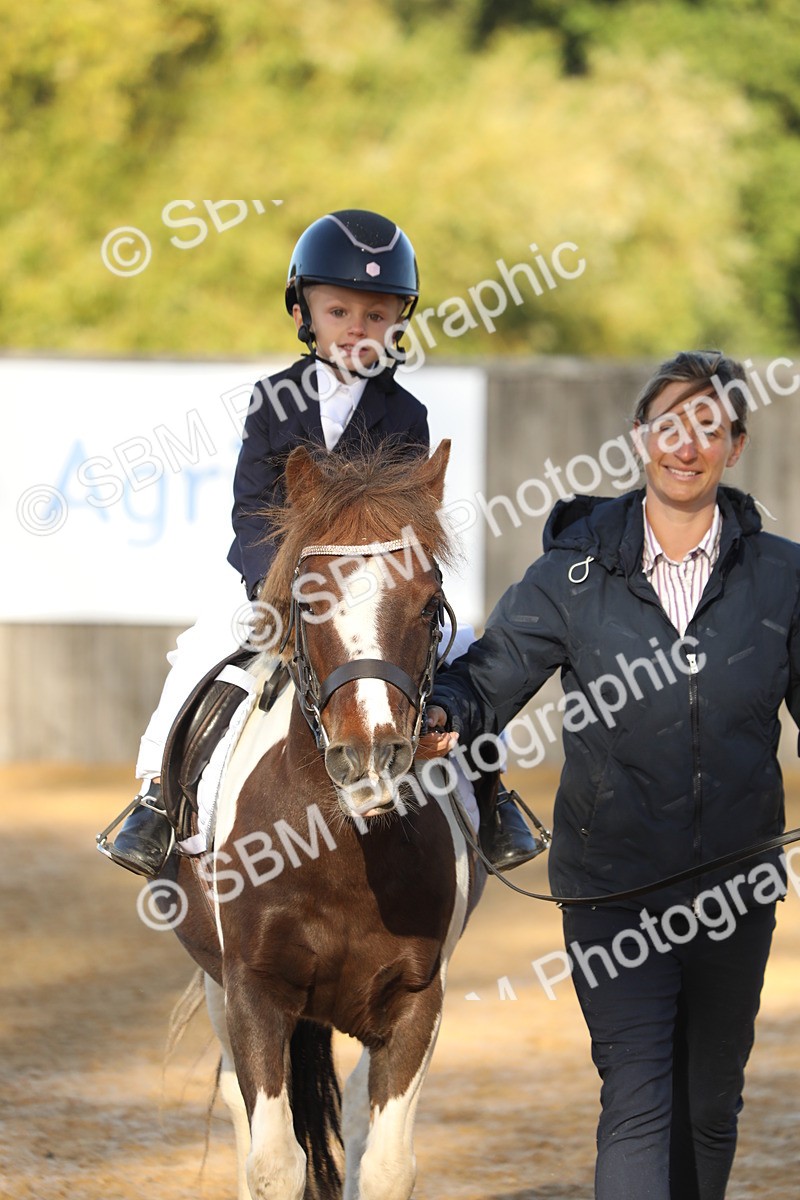 SBM_33686 - D26 - Starers - Lead Rein