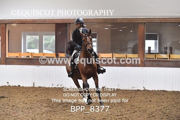 BPP_8377 - PRELIM 4 BD