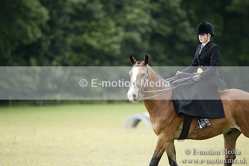 BVR160717-1573 - Side Saddle Classes 16/07/17