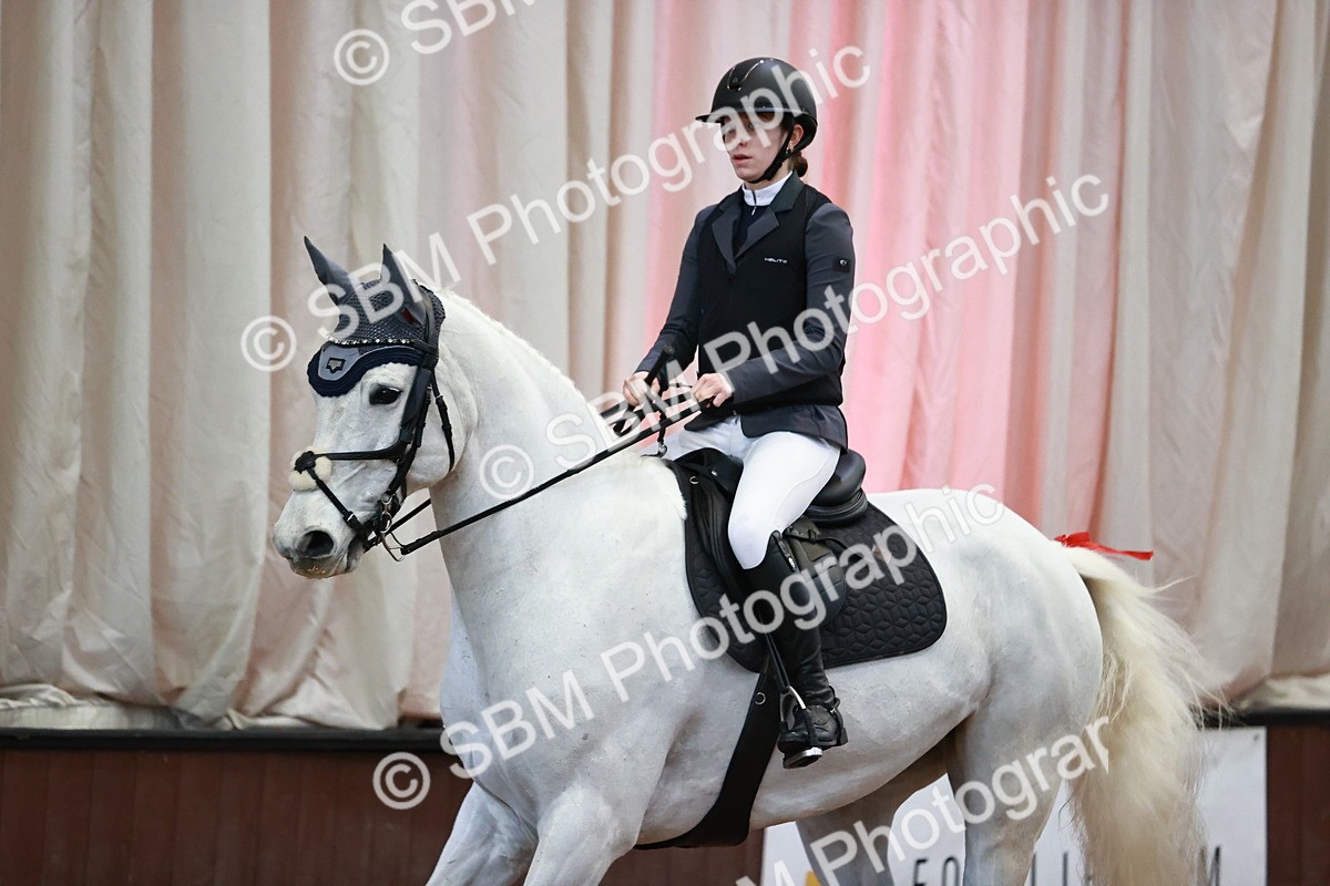 SBM_004446 - Class 21 - Senior British Novice - 90cm