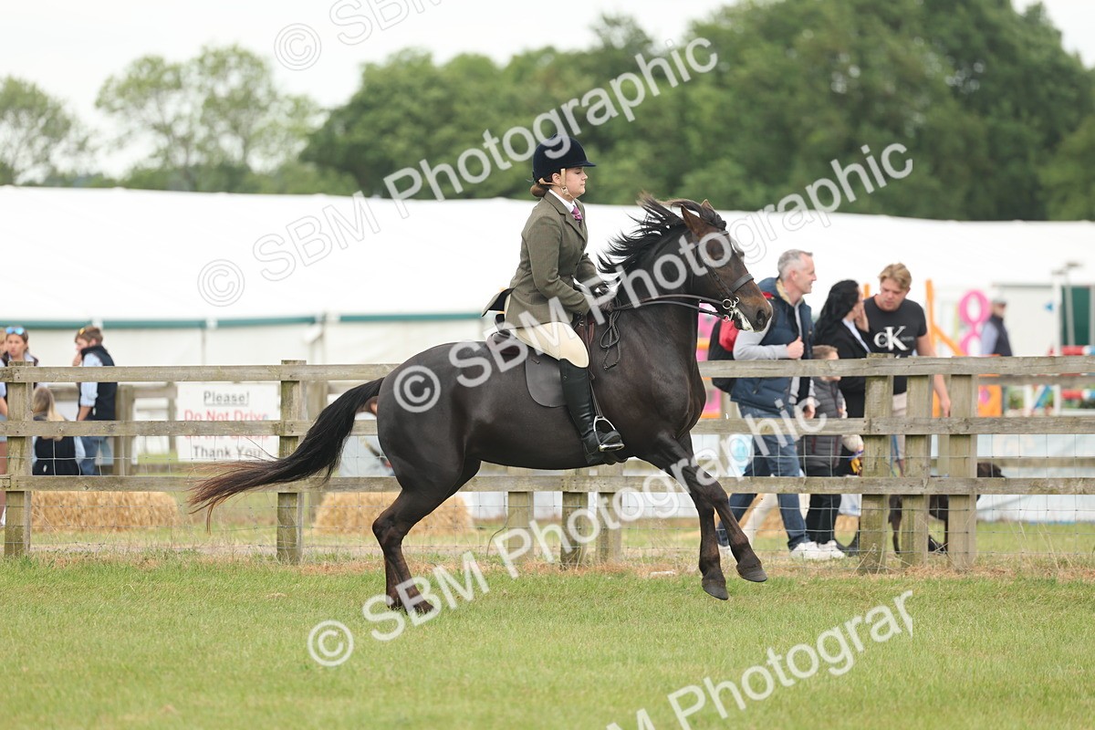 SBM_09074 - Class 78-80 - Ridden M&M Non Welsh Ponies