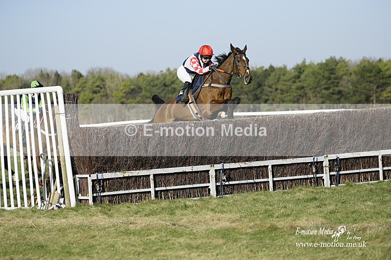 PtP 270222 192 - South & West Wilts Point-to-Point Larkhill 27/02/22