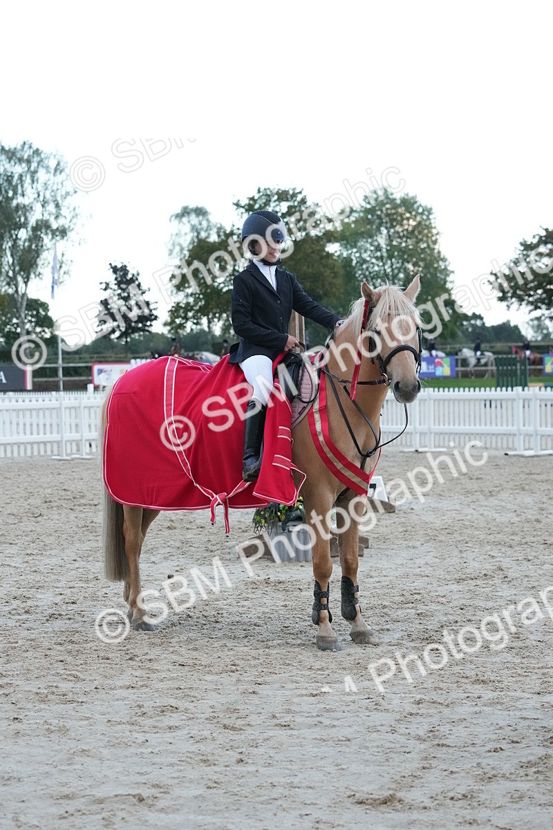 SBM_54225 - Supreme Championship 60cm 65cm
