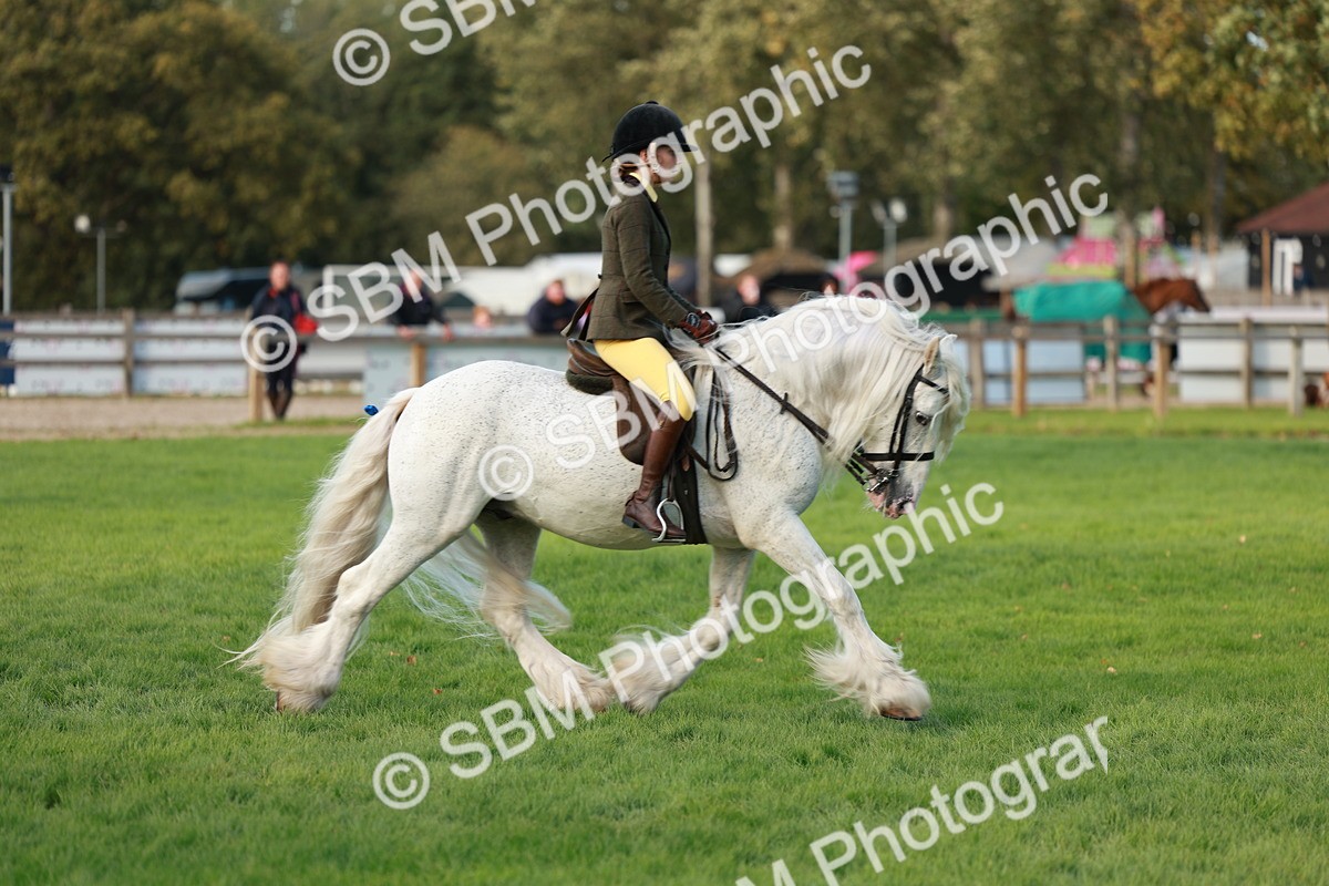 SBM_28819 - S7 - Novice & Newcomer Ridden Pony
