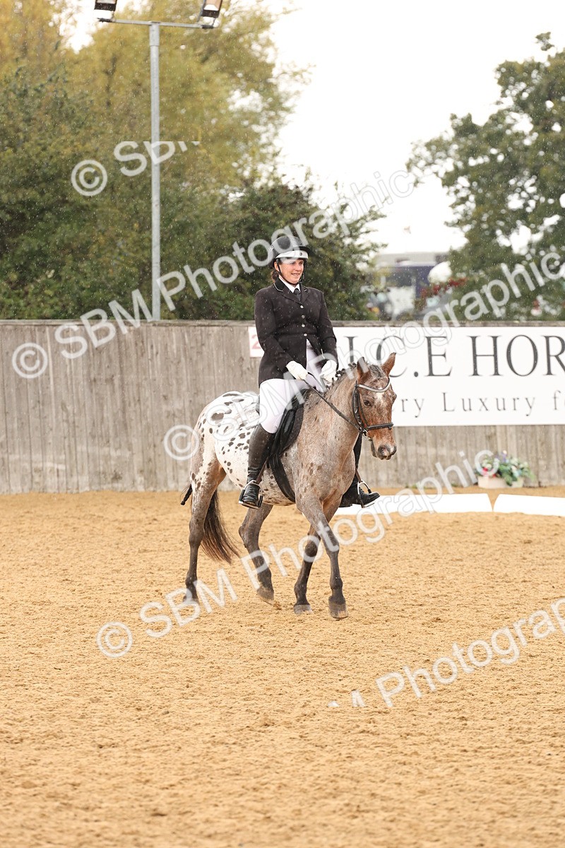 SBM_44119 - D6 - Small Tour Championship Intro 4