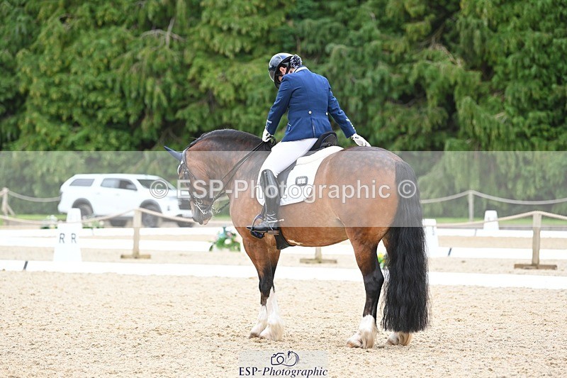 230813-142052-07731 - Cls 13 Medium Bronze 13.15 to End